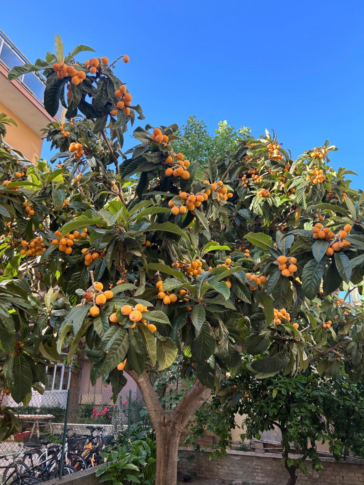 Appartamento Zona Residenziale, Due Passi Dal Mare Pescara Extérieur photo